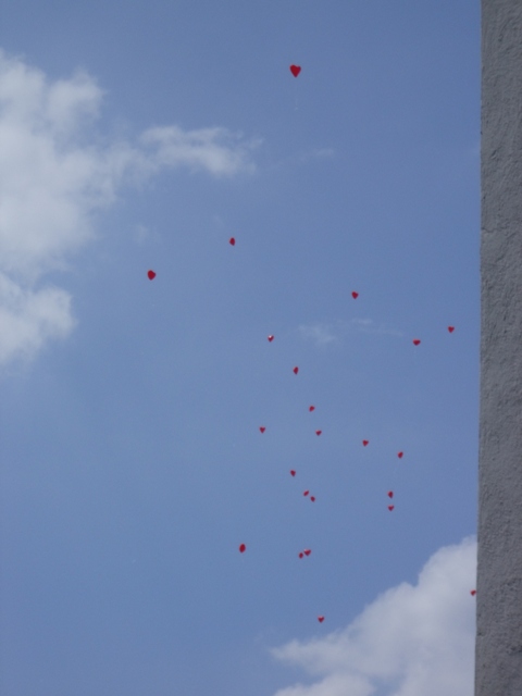 sfkmarriages (25).JPG